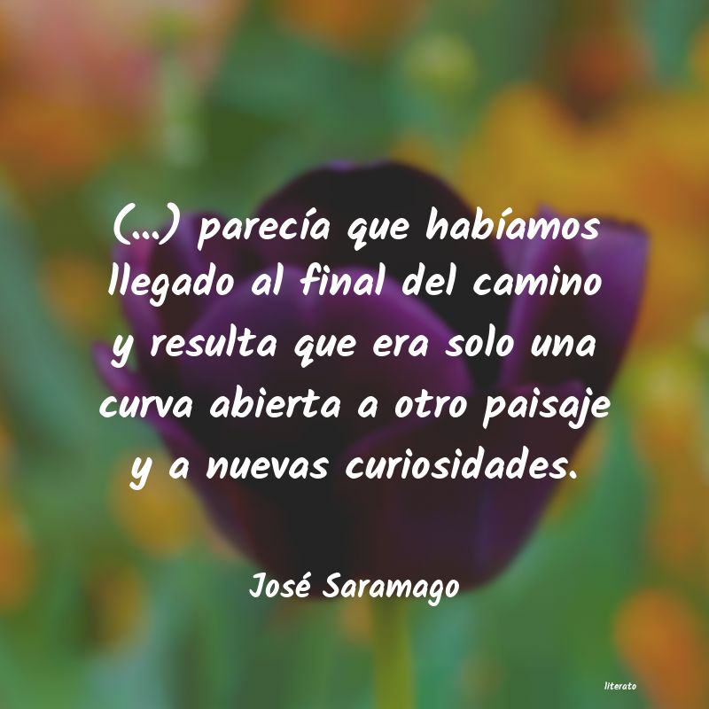 frases de José Saramago