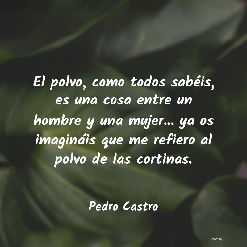 Frases de Pedro Castro