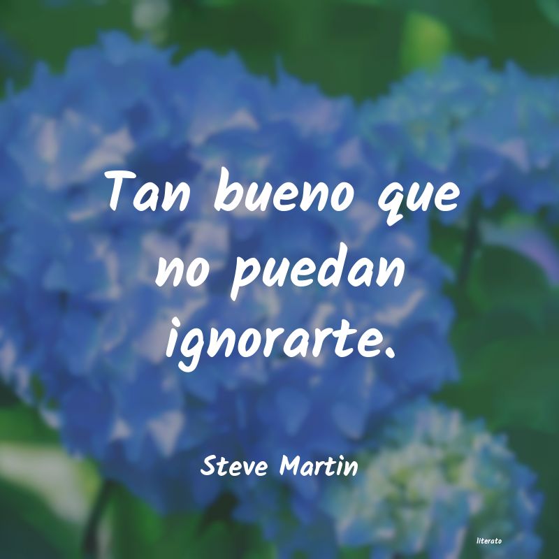 Frases de Steve Martin