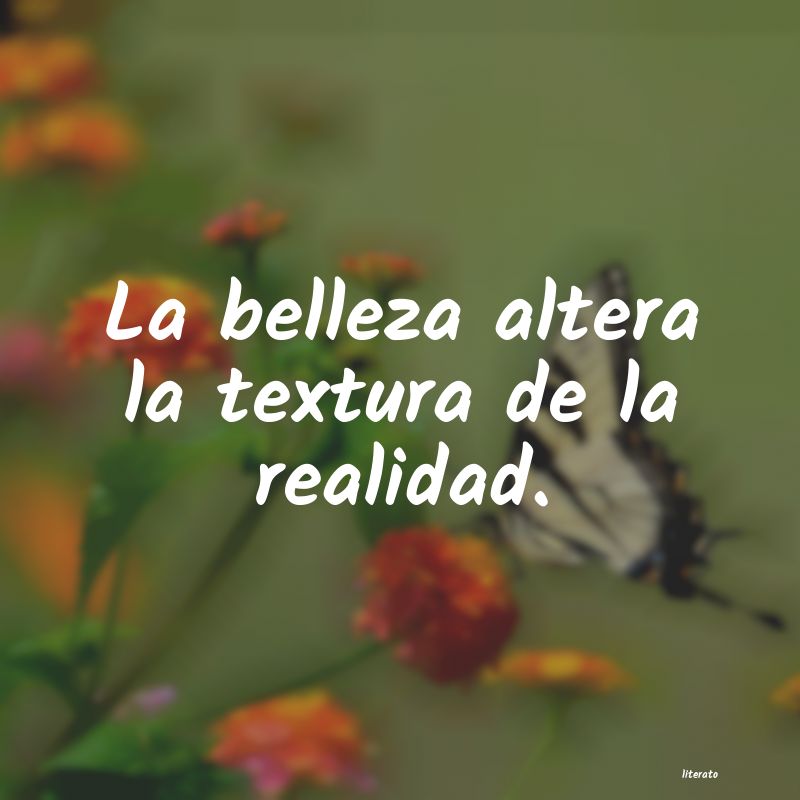 frases