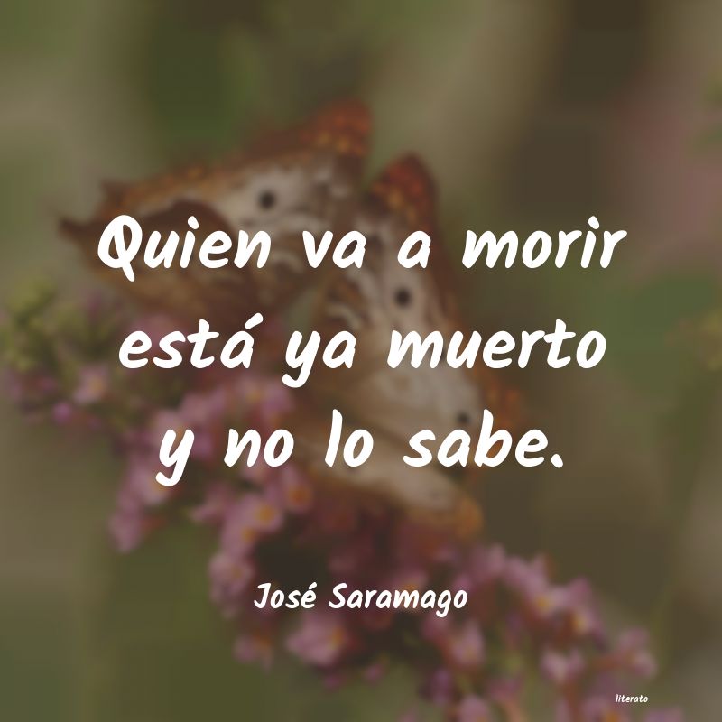 frases de José Saramago