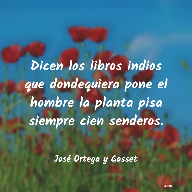 Frases de José Ortega y Gasset