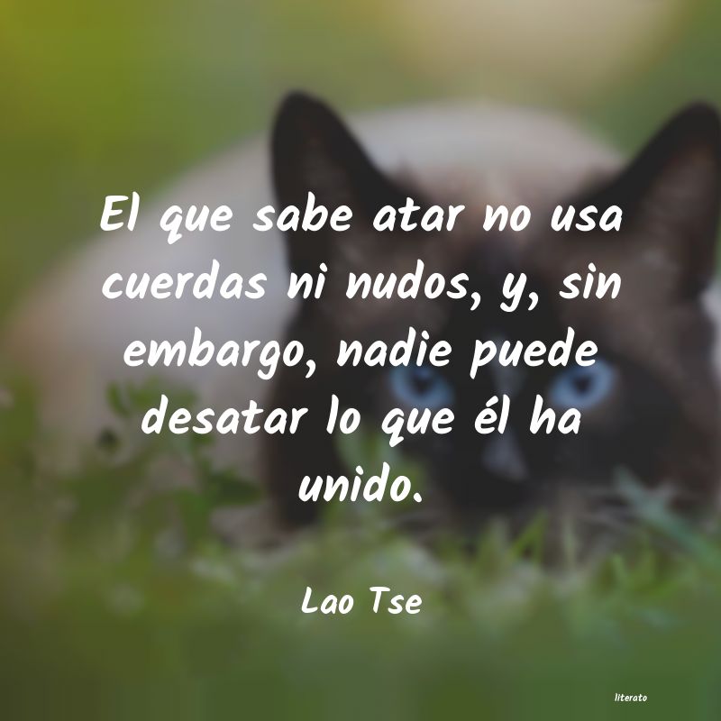 Frases de Lao Tse