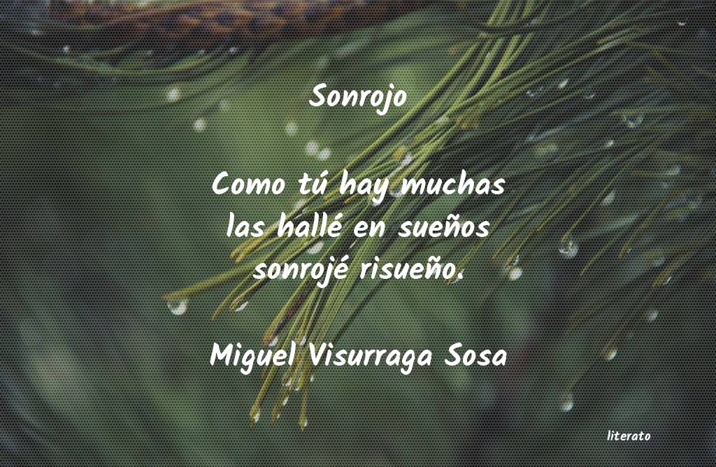frases de Miguel Visurraga Sosa