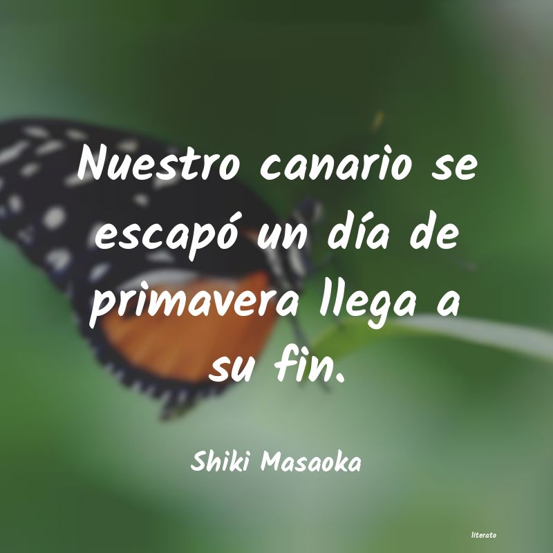 frases de Shiki Masaoka