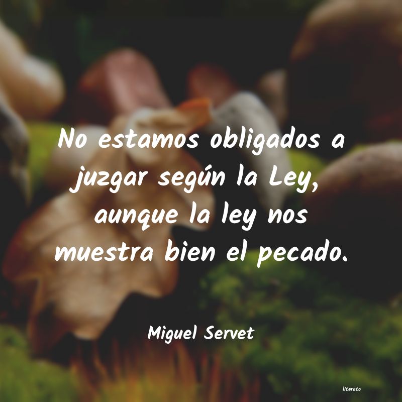 Frases de Miguel Servet