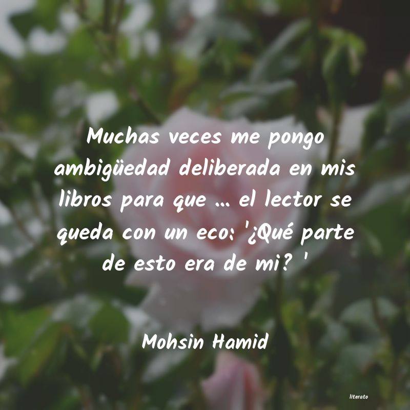 Frases de Mohsin Hamid