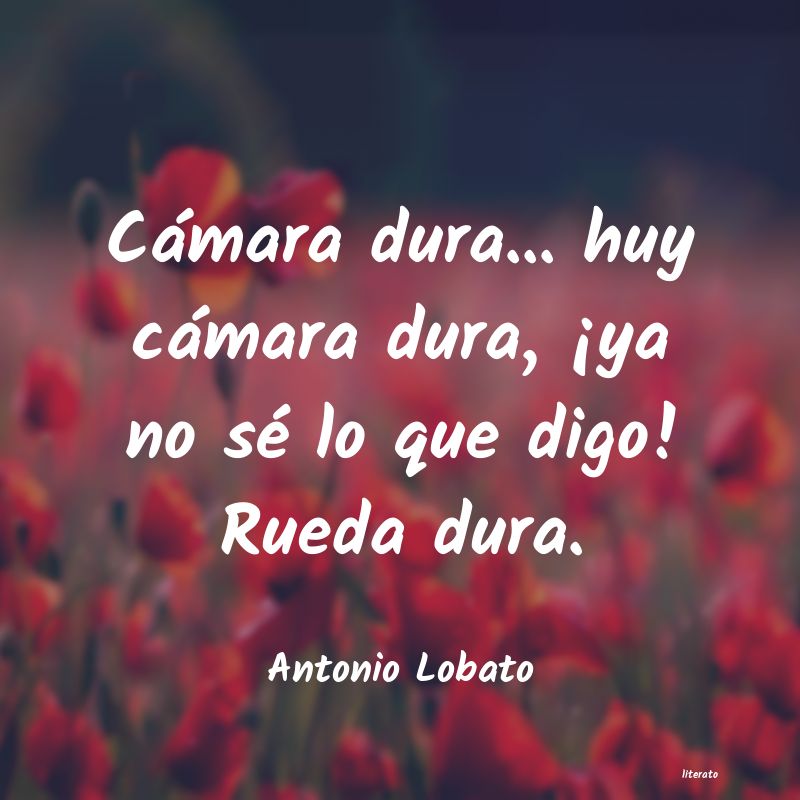 frases de Antonio Lobato