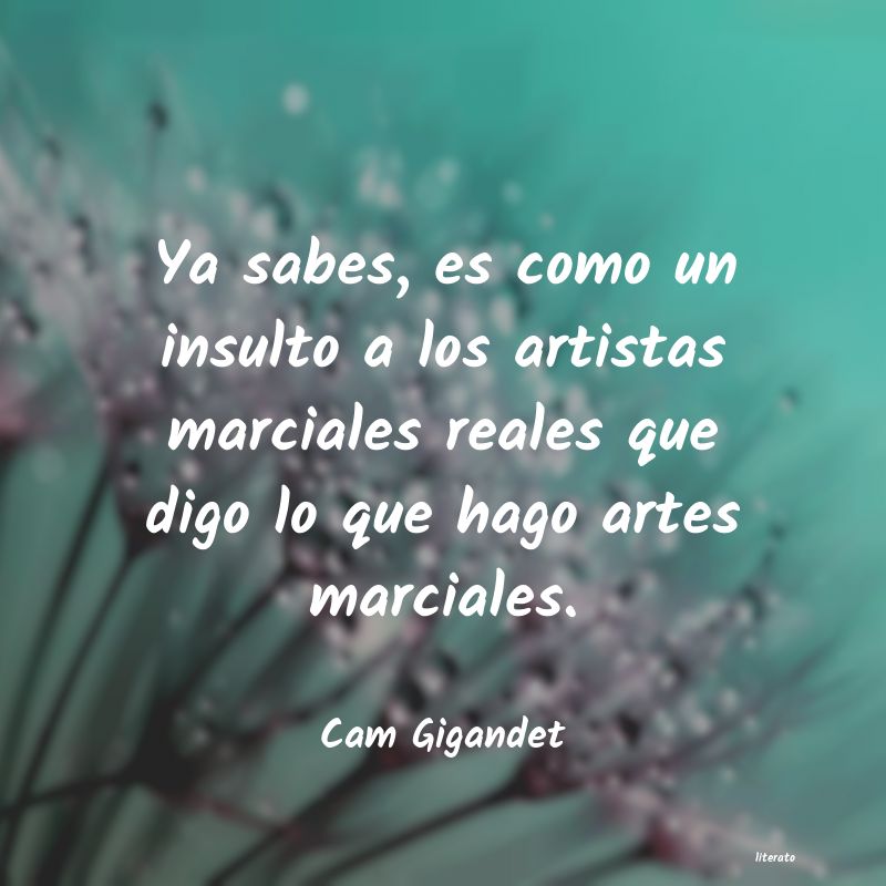 Frases de Cam Gigandet