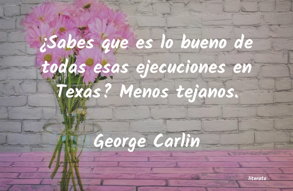 Frases de George Carlin