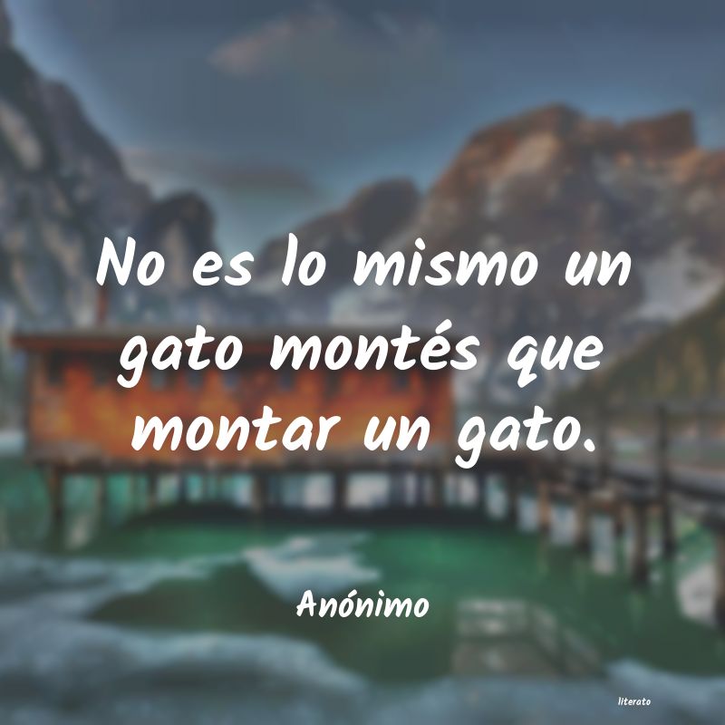 Frases de