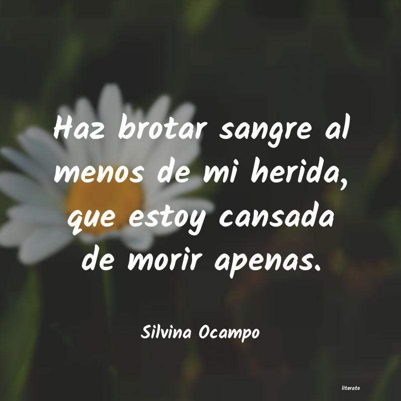 frases de Silvina Ocampo
