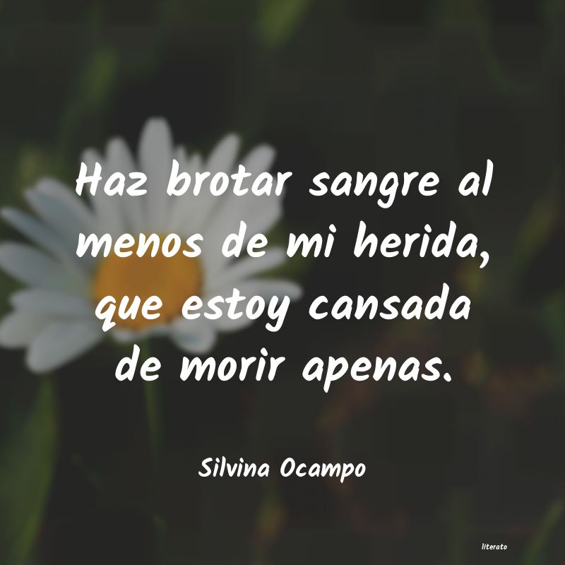 Frases de Silvina Ocampo