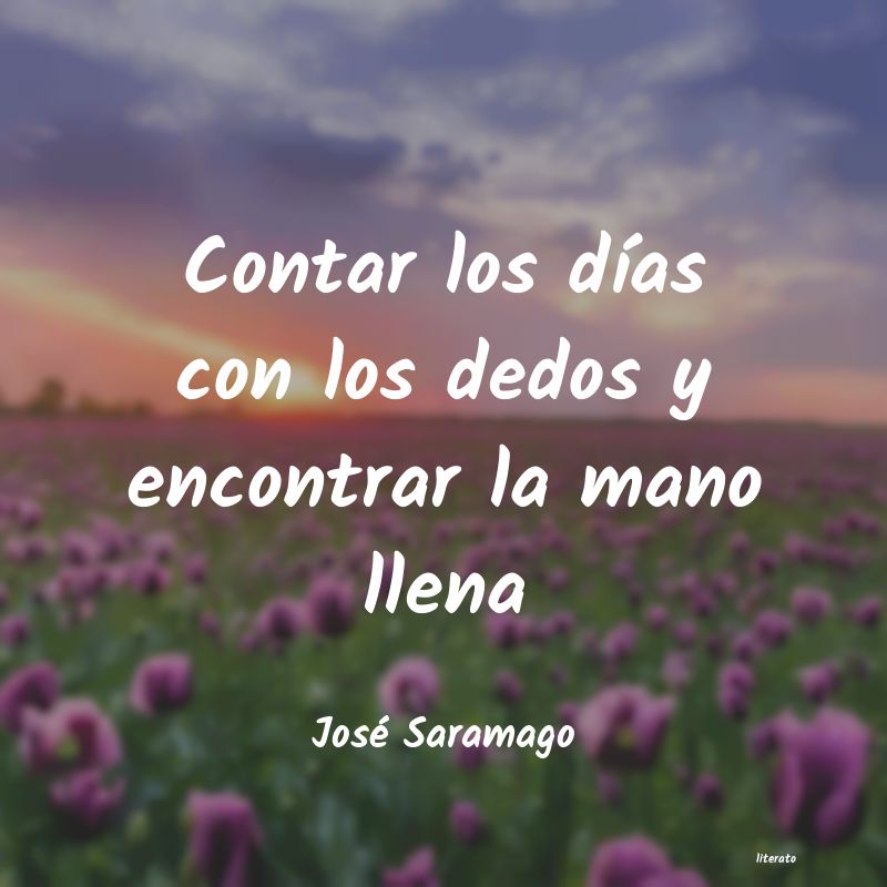 Frases de José Saramago