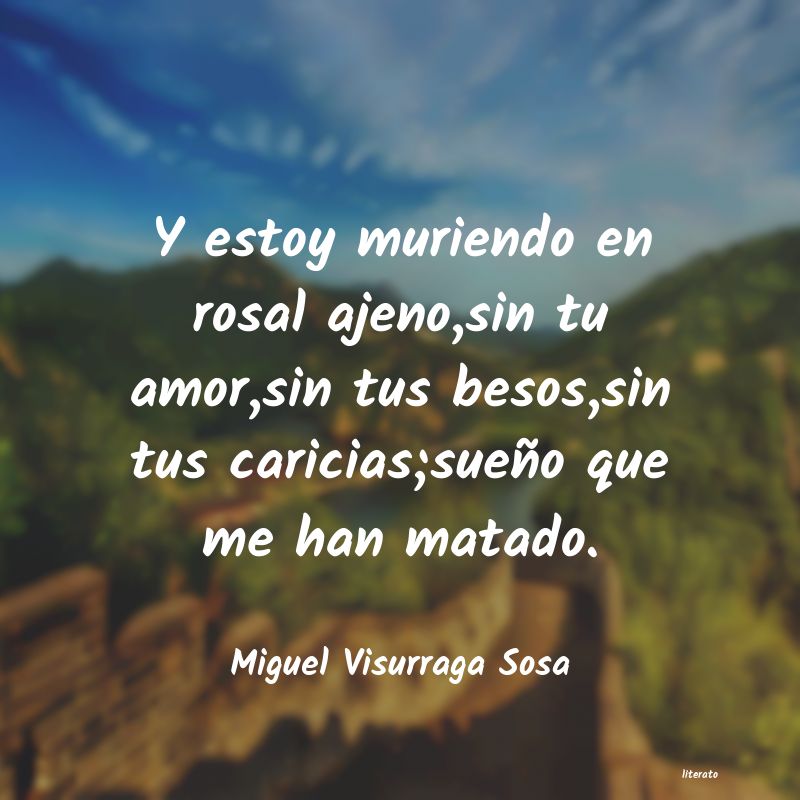 Frases de Miguel Visurraga Sosa