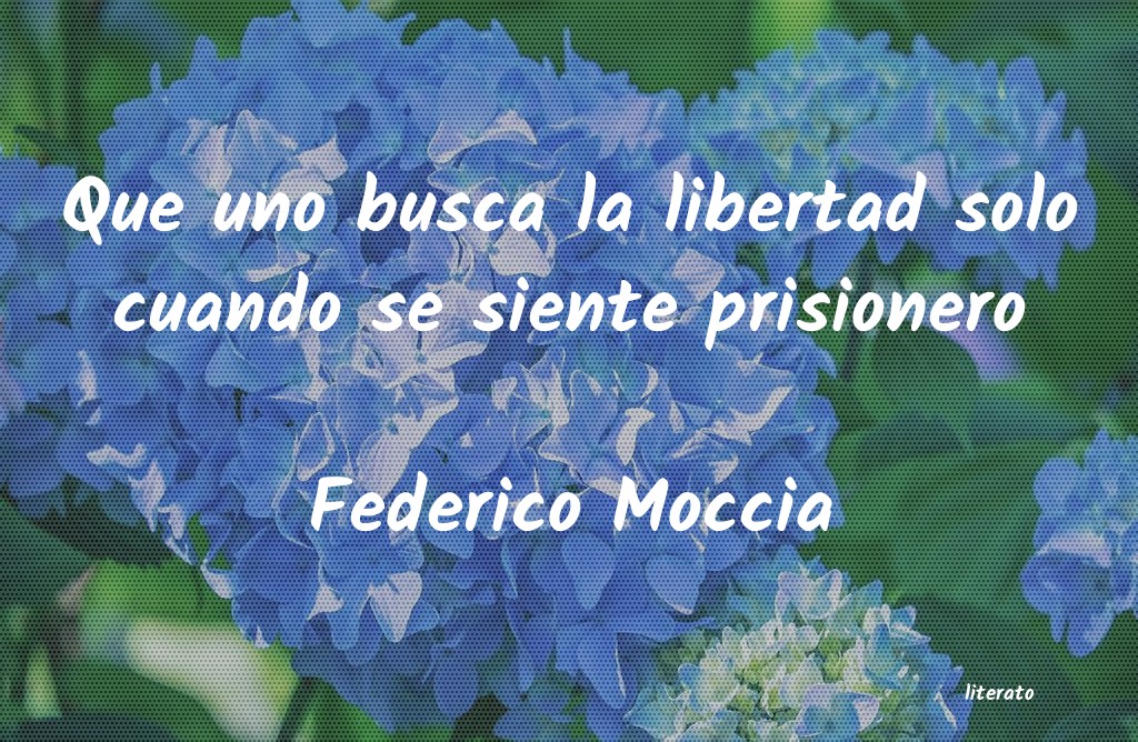 Frases de Federico Moccia