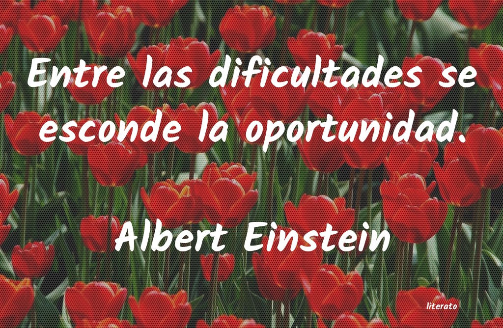 frases de Albert Einstein
