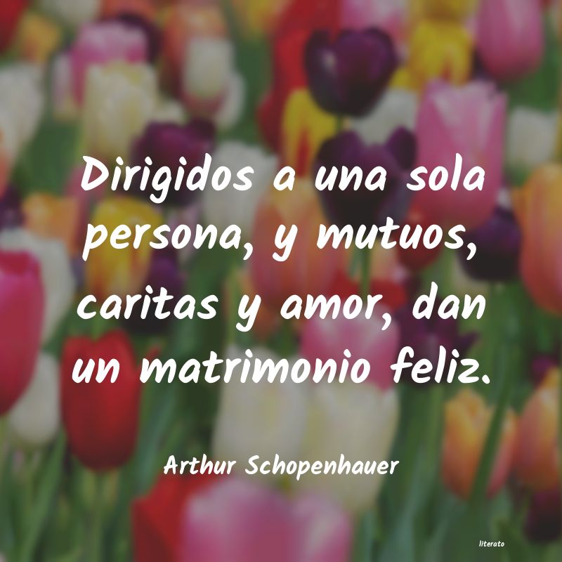 Frases de Arthur Schopenhauer