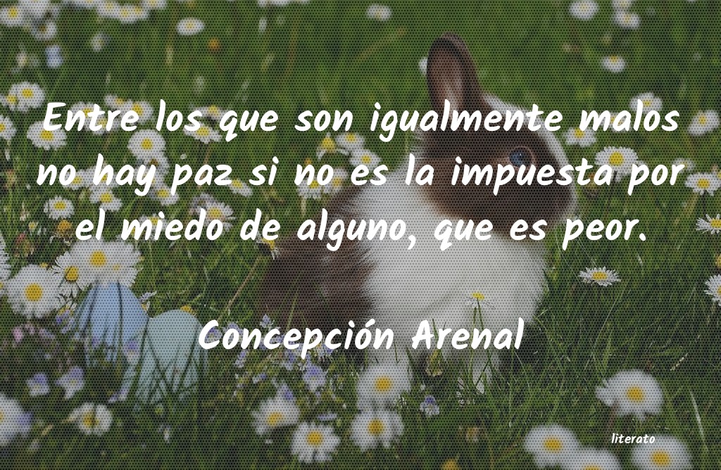 Frases de Concepción Arenal