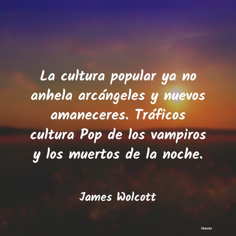 Frases de James Wolcott