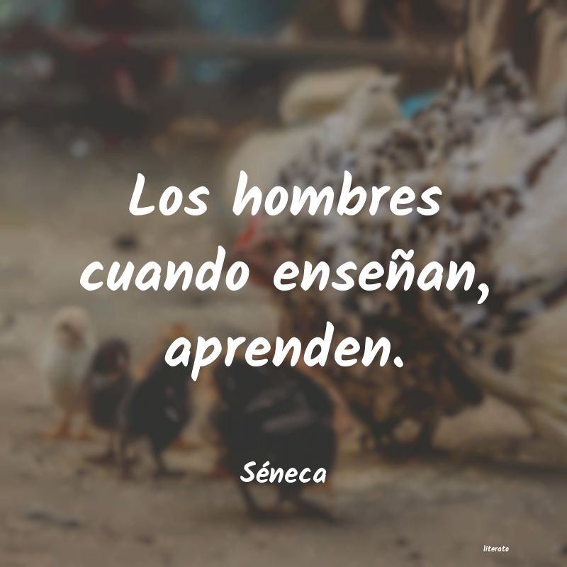 frases de Séneca