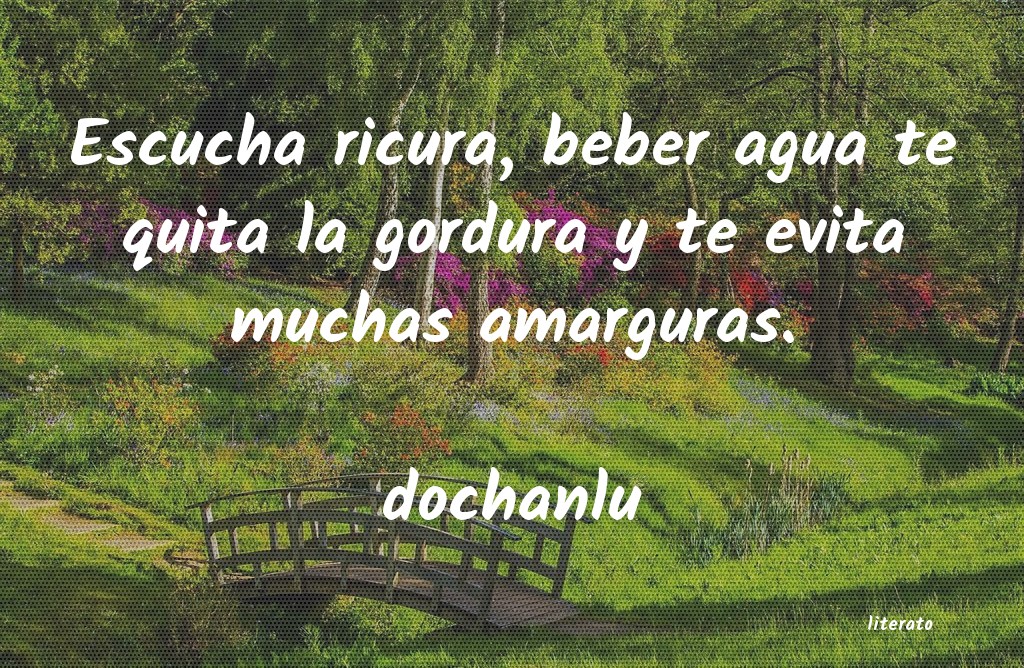 Frases de dochanlu