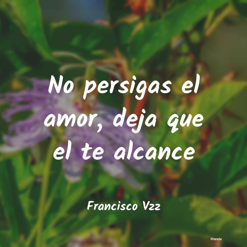 Frases de Francisco Vzz