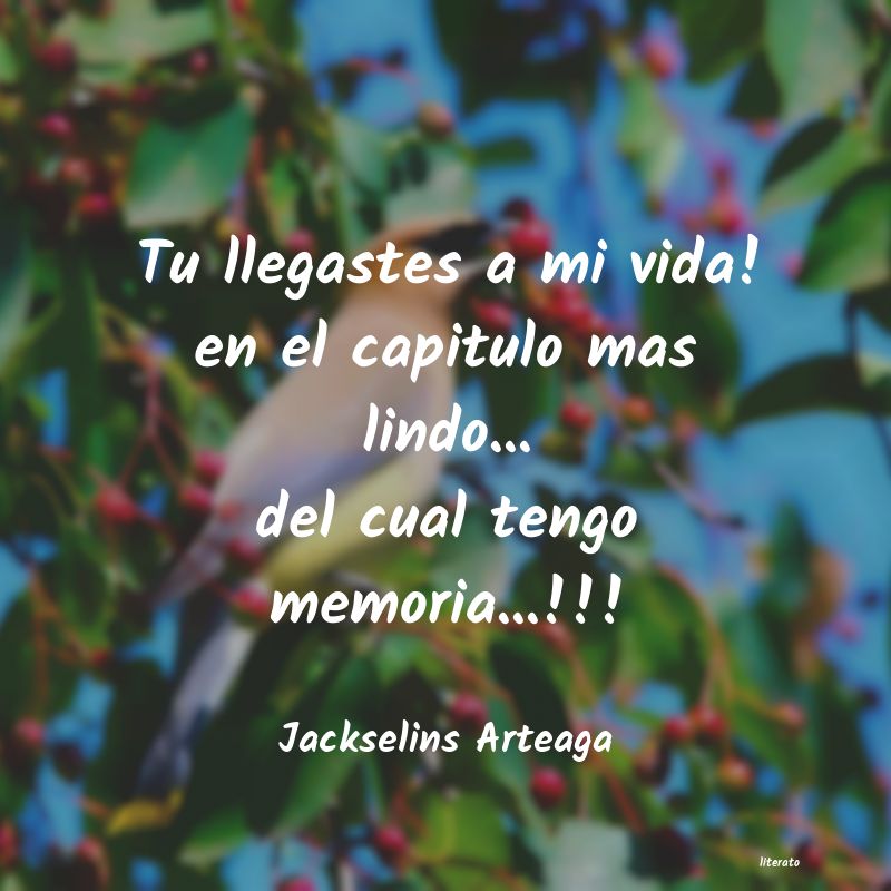 frases de Jackselins Arteaga