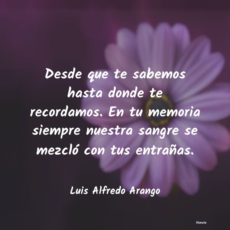 Frases de Luis Alfredo Arango