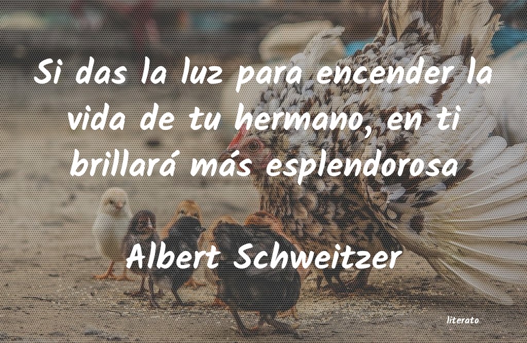 Frases de Albert Schweitzer