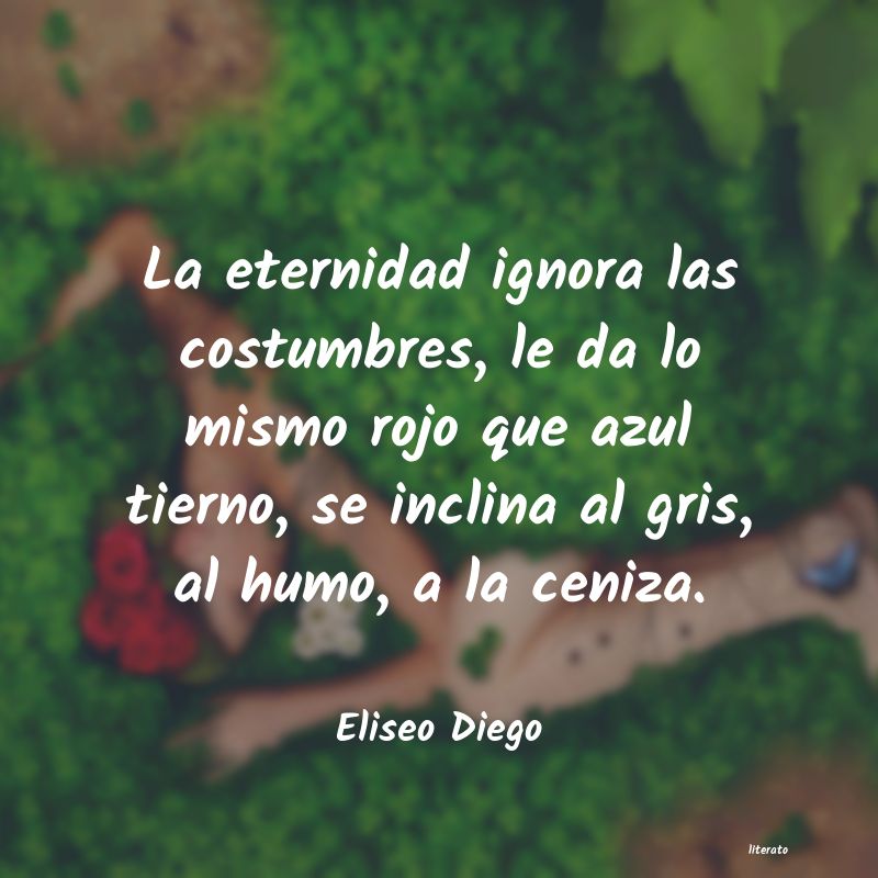 Frases de Eliseo Diego