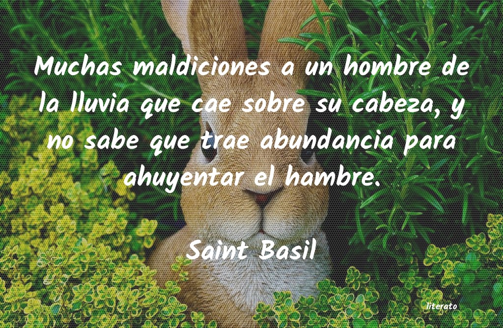 frases de Saint Basil