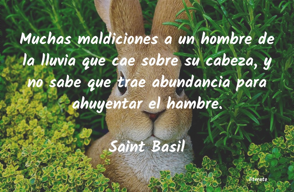 Frases de Saint Basil