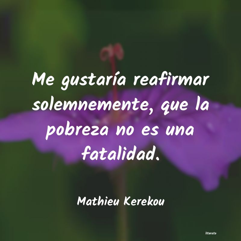 Frases de Mathieu Kerekou