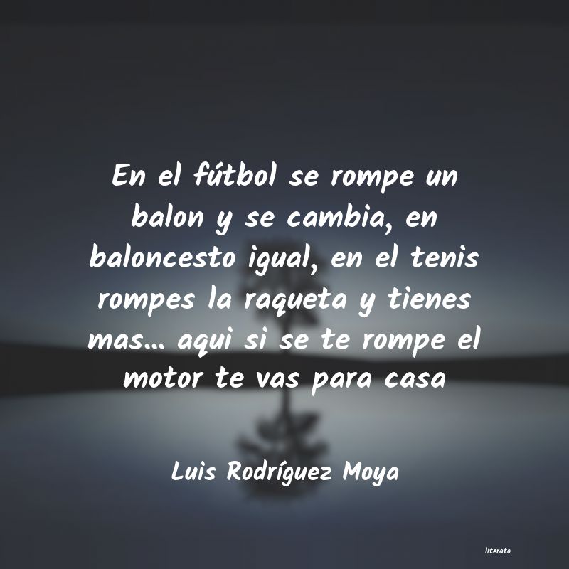 Frases de Luis Rodríguez Moya