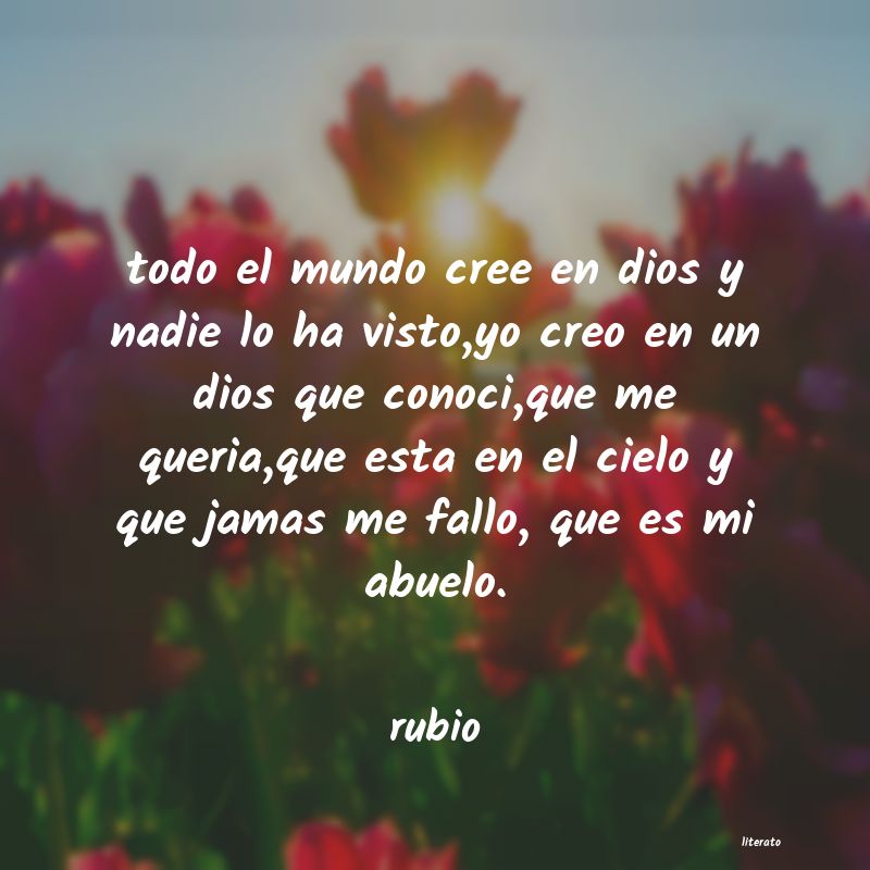 frases de rubio