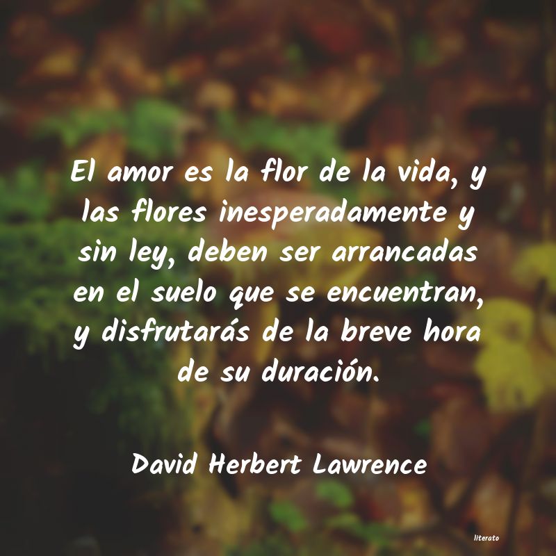Frases de David Herbert Lawrence