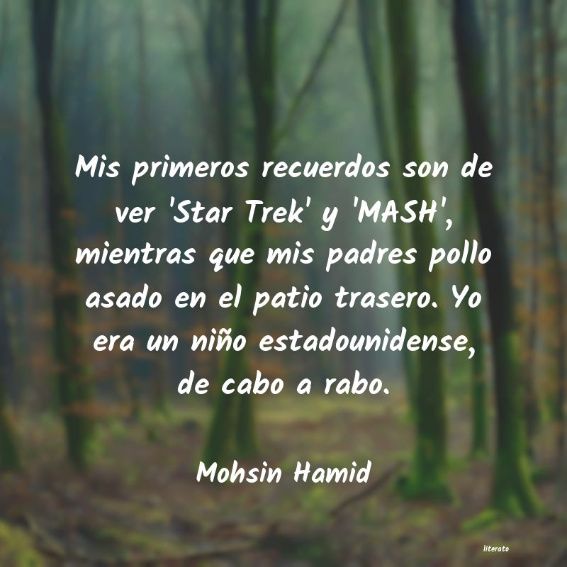 Frases de Mohsin Hamid