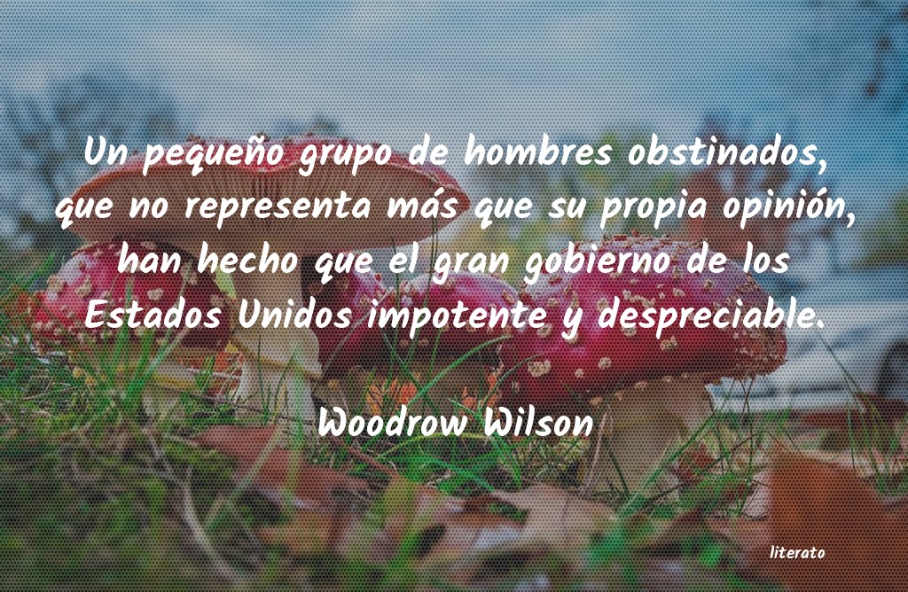 frases de Woodrow Wilson