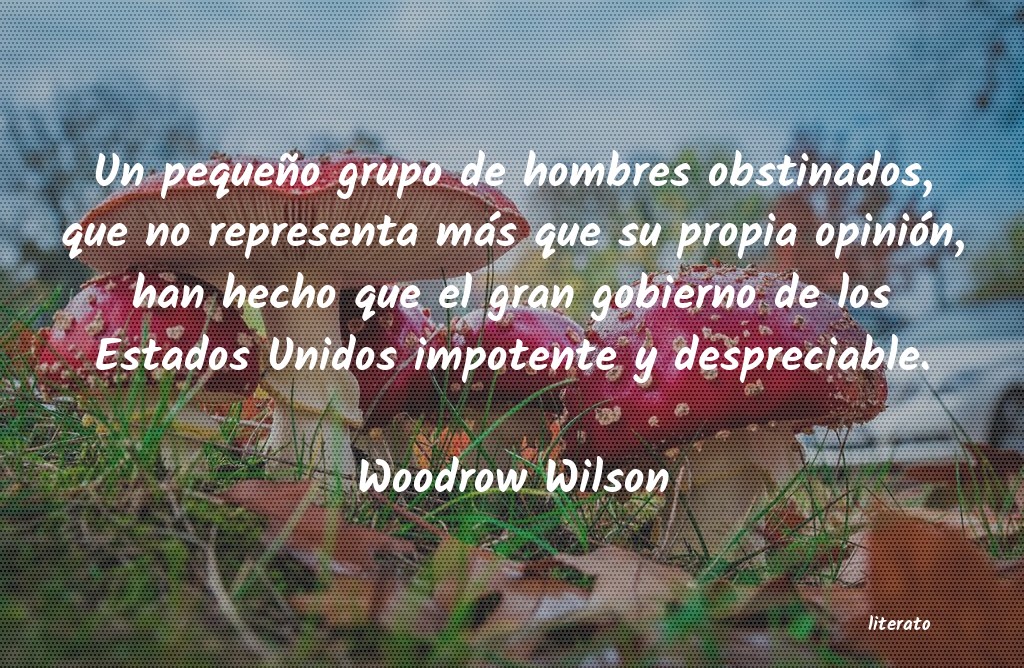 Frases de Woodrow Wilson