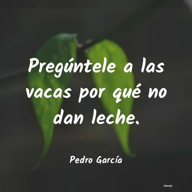 Frases de Pedro García