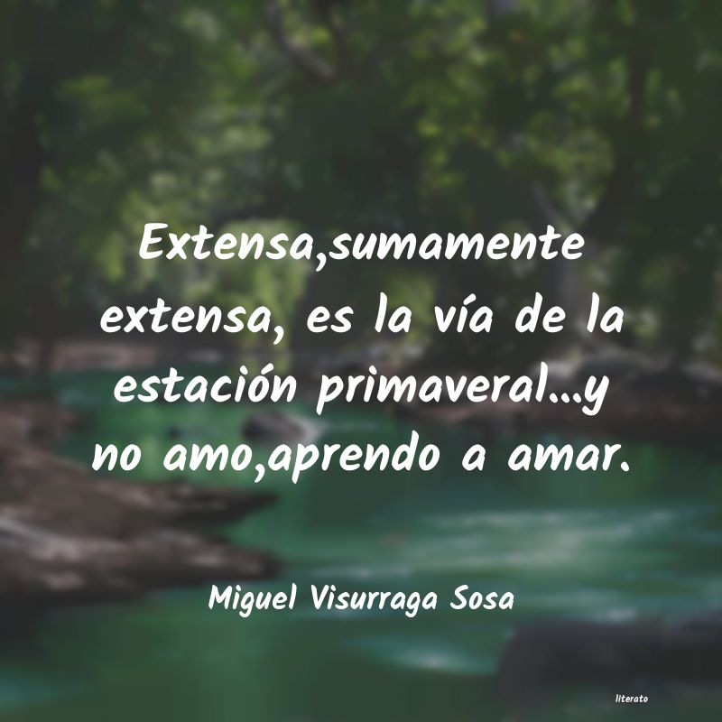 frases de Miguel Visurraga Sosa