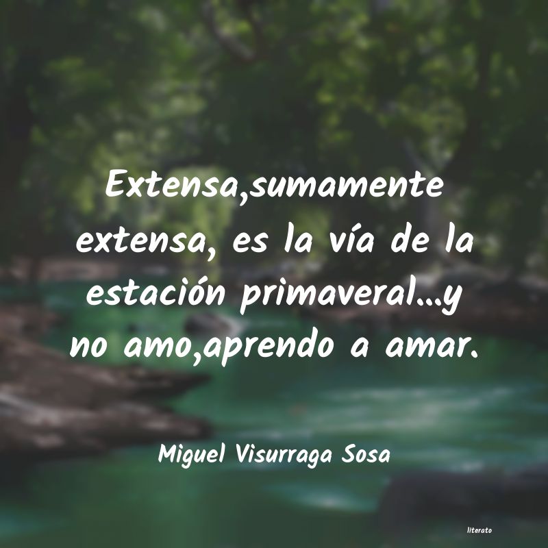 Frases de Miguel Visurraga Sosa