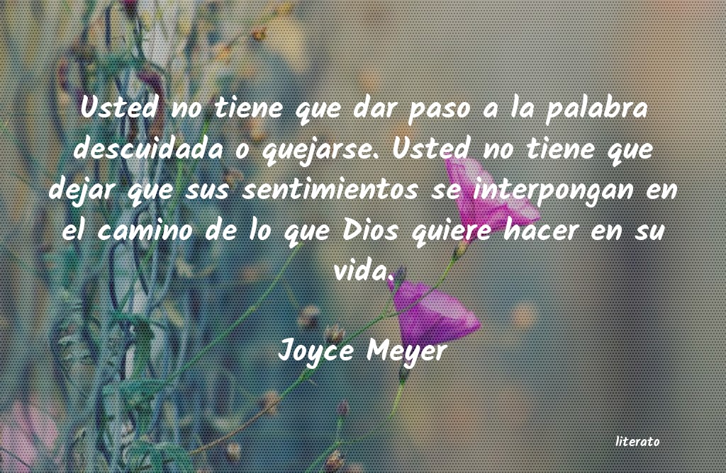 Frases de Joyce Meyer