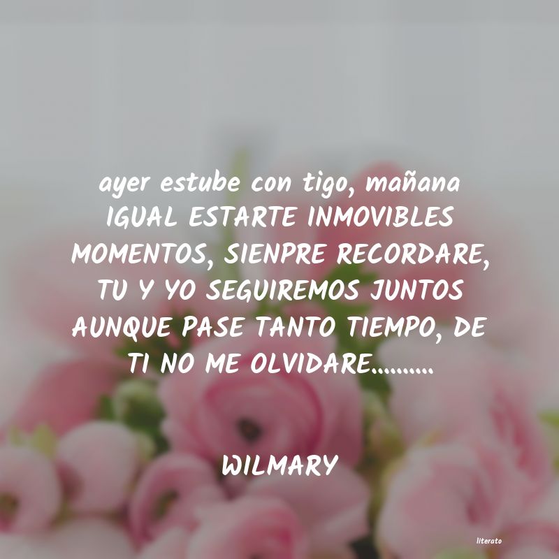 Frases de WILMARY