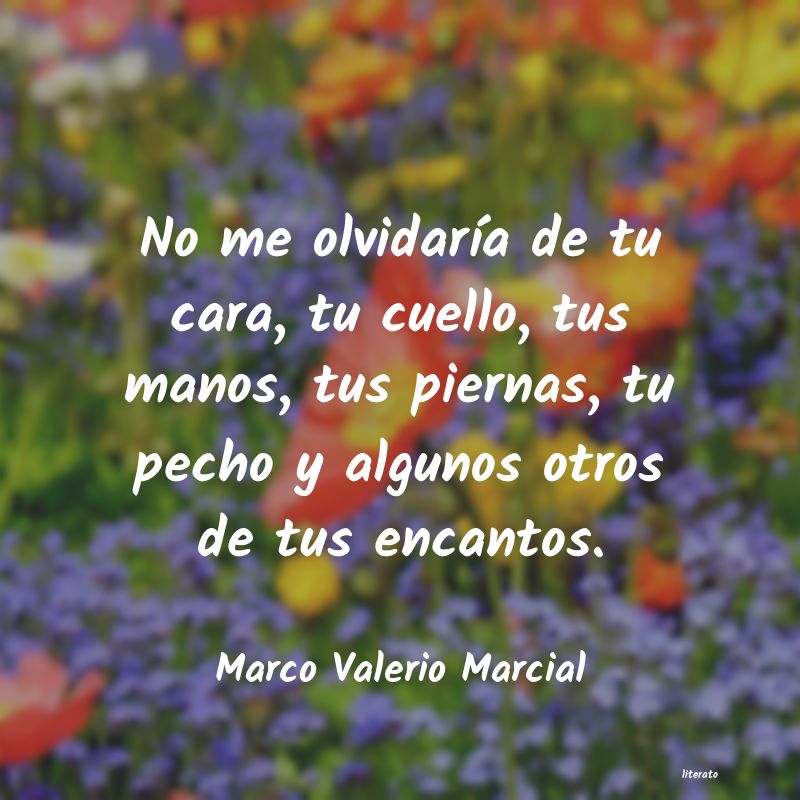 Frases de Marco Valerio Marcial