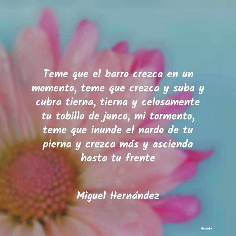 Frases de Miguel Hernández