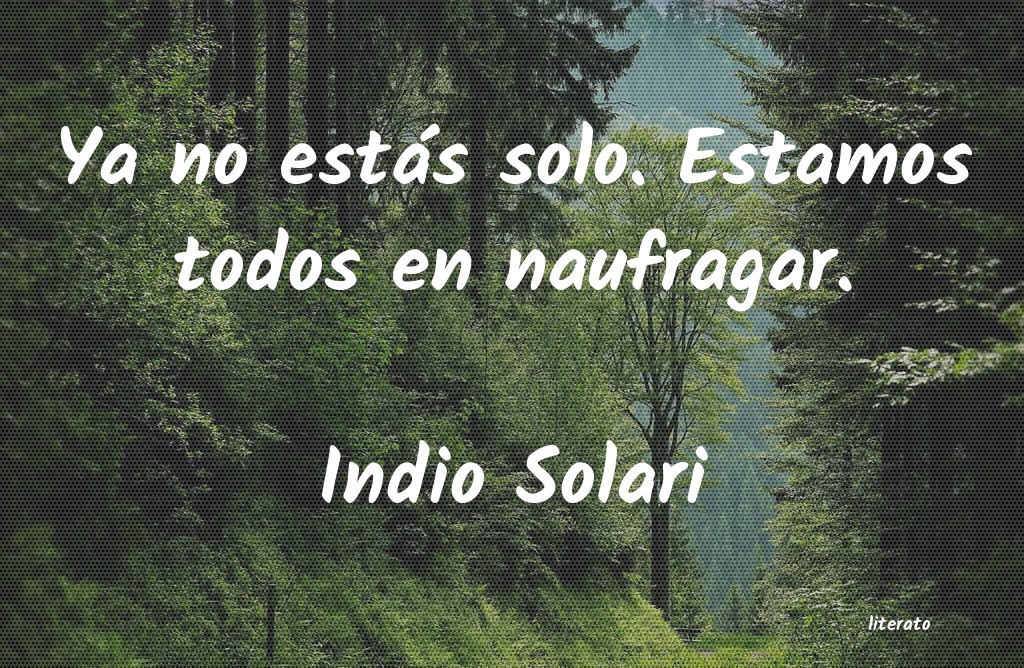 Frases de Indio Solari