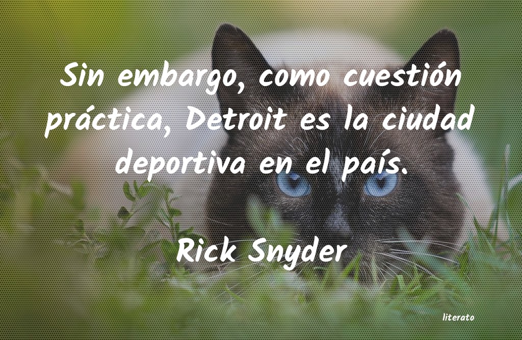 frases de Rick Snyder