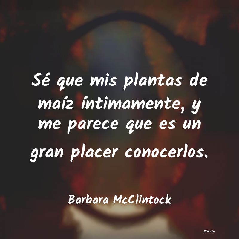 Frases de Barbara McClintock